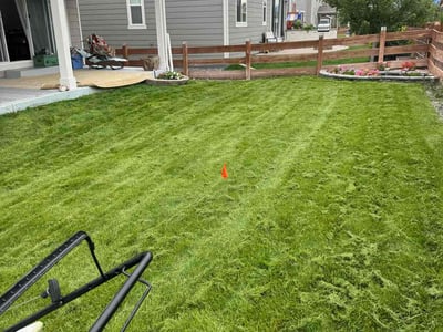 Lawn care service in Colorado Springs, 80915