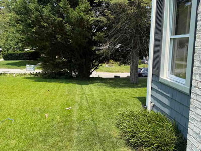 Lawn care service in Timonium, 21093