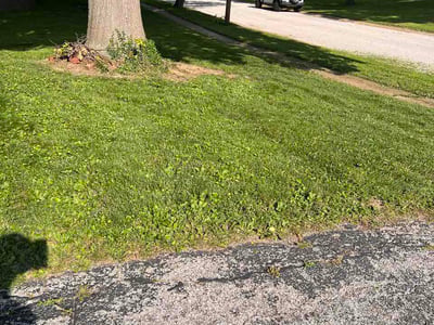 Lawn care service in Ballwin, 63011
