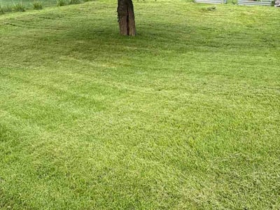 Lawn care service in Greensburg, 15601