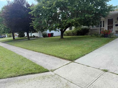 Lawn care service in Grove City, 43123