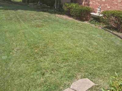 Lawn care service in St. Louis, 63109