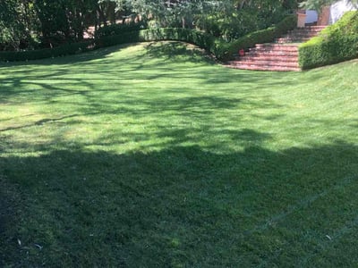 Lawn care service in Beverly Hills, 90210
