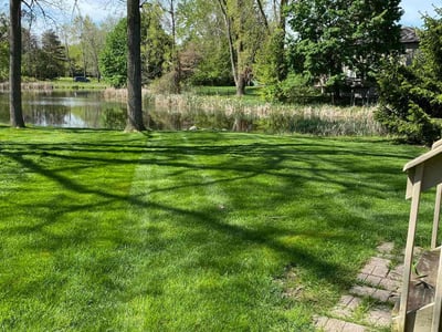 Lawn care service in Holt, 48842