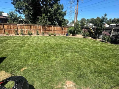 Lawn care service in Denver, 80224