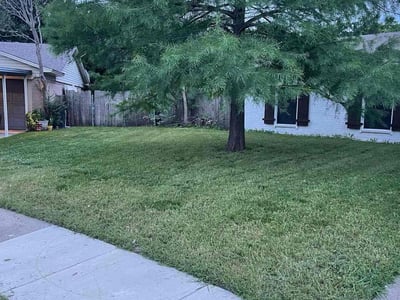 Lawn care service in Fort Worth, 76179
