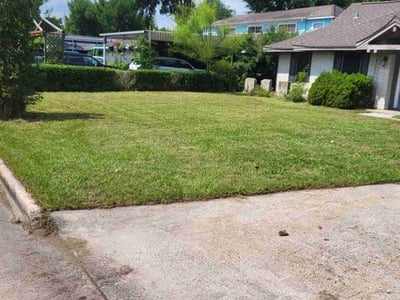 Lawn care service in Houston, 77037