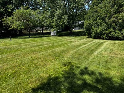 Lawn care service in Granger, 46530
