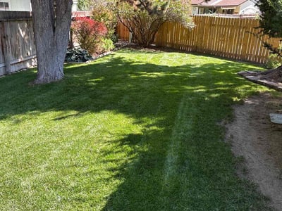 Lawn care service in Boise, 83714
