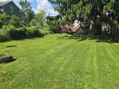 Lawn care service in Mansfield, 44902
