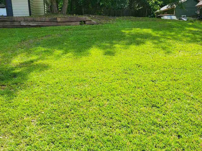 Lawn care service in Covington, 30014