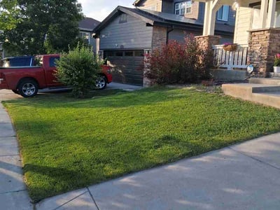 Lawn care service in Commerce City, 80022