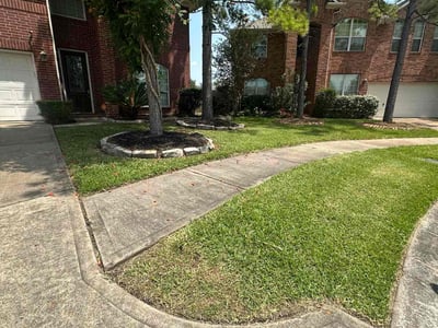 Lawn care service in Pearland, 77584
