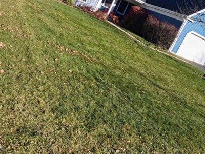 Lawn care service in Cary, 60013