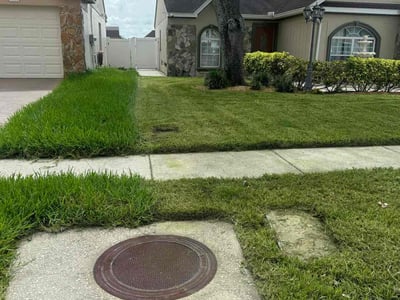 Lawn care service in Tampa, 33637