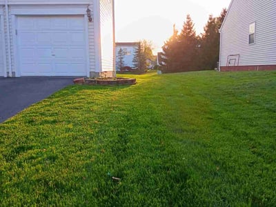 Lawn care service in New Albany, 43054