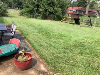 Lawn care service in St. Louis, 63136