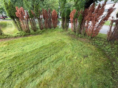 Lawn care service in Paramus, 07652