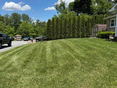 Lawn care service in Slatington, 18080