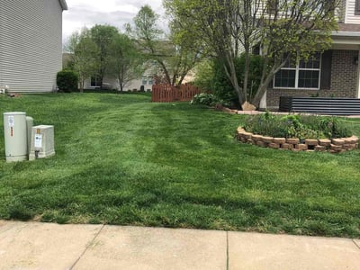 Lawn care service in Avon, 46123