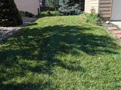 Lawn care service in Littleton, 80130