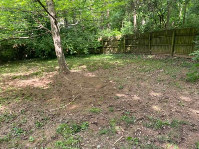 Lawn care service in Louisville, 40291