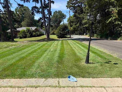 Lawn care service in Salisbury, 28144