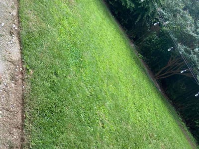 Lawn care service in Birmingham, 35212