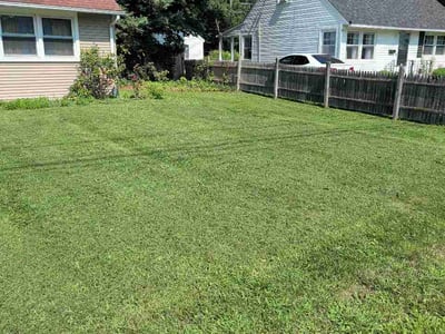 Lawn care service in Meriden, 06451