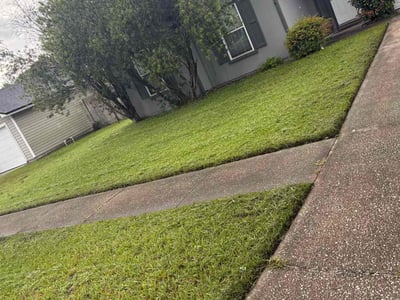Lawn care service in Jacksonville, 32210