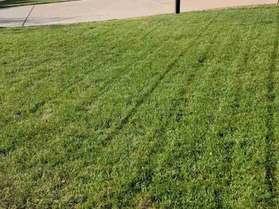 Lawn care service in Colorado Springs, 80925