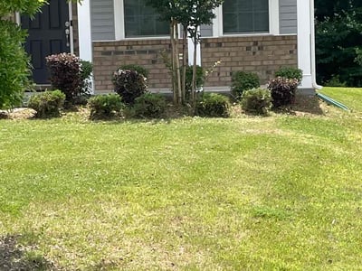 Lawn care service in Mooresville, 28117