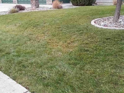Lawn care service in Spokane, 99208