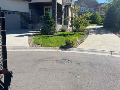 Lawn care service in Aurora, 80016
