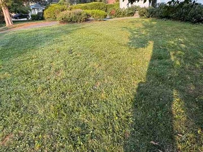 Lawn care service in Bethesda, 20814