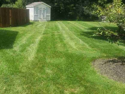 Lawn care service in Maineville, 45039