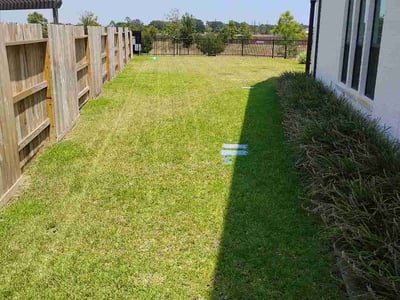 Lawn care service in Katy, 77493