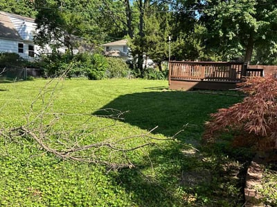 Lawn care service in Overland Park, 66212