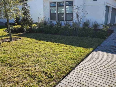 Lawn care service in Jacksonville, 32256