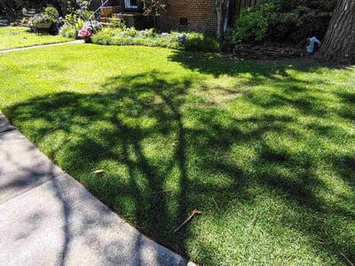 Lawn care service in Norfolk, 23507