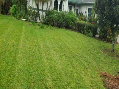 Lawn care service in Sarasota, 34235