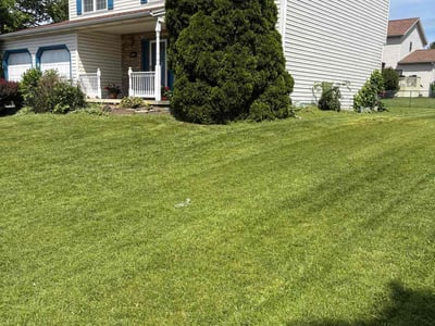 Lawn care service in Harrisburg, 17112