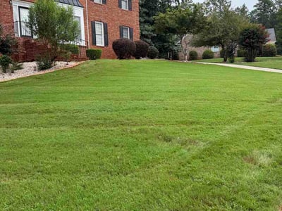 Lawn care service in Conyers, 30094