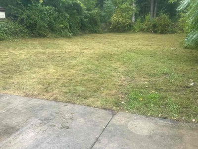 Lawn care service in Inkster, 48141