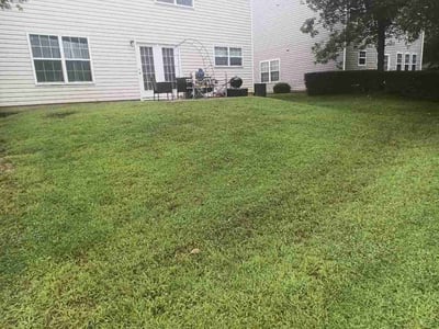 Lawn care service in Canton, 30114