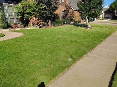 Lawn care service in Grand Prairie, 75054