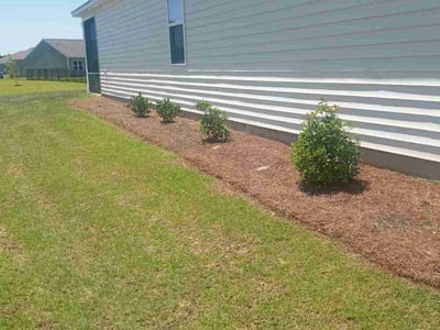 Lawn care service in Conway, 29526