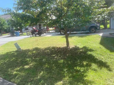 Lawn care service in Lawrenceville, 30044