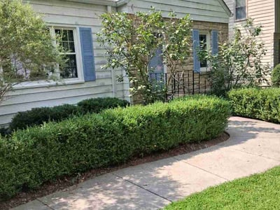 Lawn care service in Madison, 53705