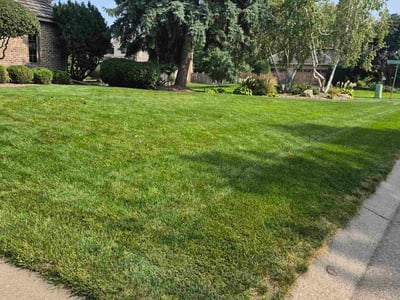 Lawn care service in Minneapolis, 55441